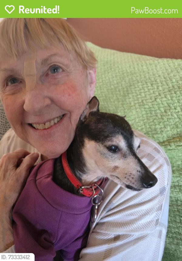Reunited Female Dog last seen Happy Trail & Lariat in Coventey Hills, Fort Worth, TX 76244