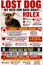 Lost Male Dog last seen Near Northern and 35th av by the residential building, Queens, NY 11354