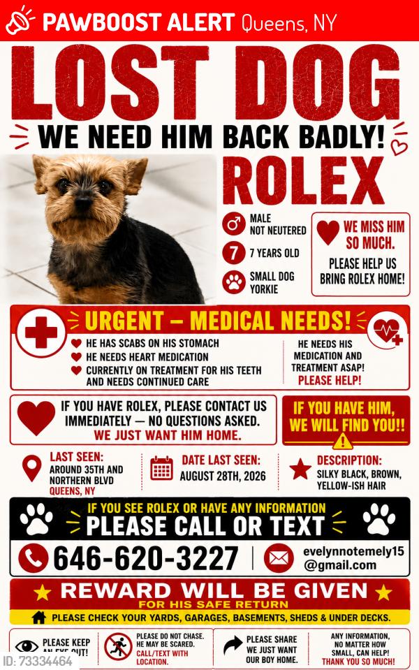 Lost Male Dog last seen Near Northern and 35th av by the residential building, Queens, NY 11354