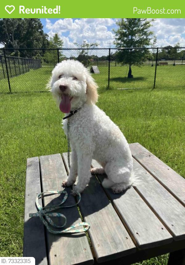 Reunited Female Dog last seen Cecil Watkins, Arnaudville, LA 70512