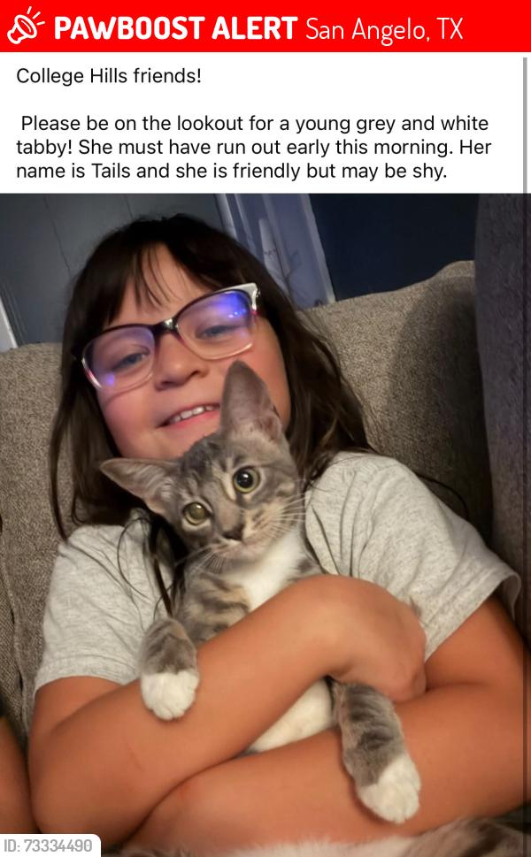 Lost Female Cat last seen Friendly flower shop, apmts on Harvard, San Angelo, TX 76904