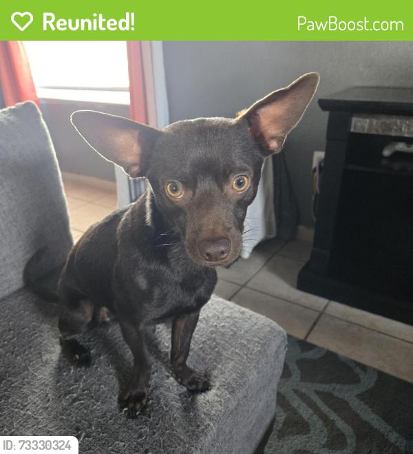 Reunited Male Dog last seen Hood St., Titusville, FL 32780
