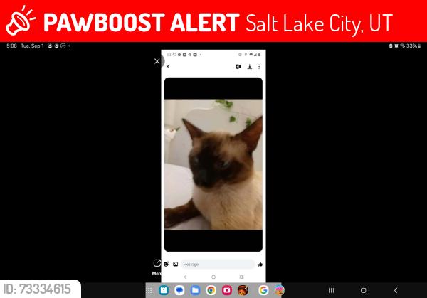 Lost Male Cat last seen Country club circle, Salt Lake City, UT 84109