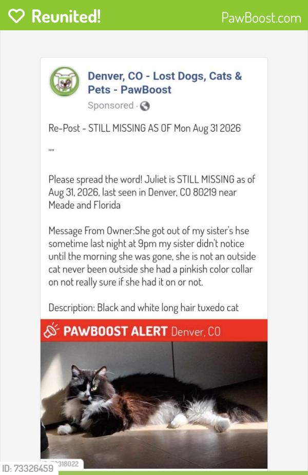 Reunited Female Cat last seen Meade and Florida, Denver, CO 80219