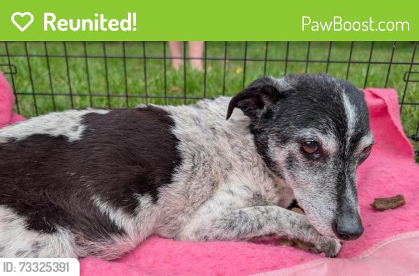 Reunited Male Dog last seen 22nd St S and Oak Grove, St. Cloud, MN 56301