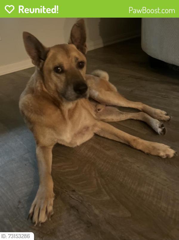 Reunited Male Dog last seen Gene Campbell, New Caney, TX 77357