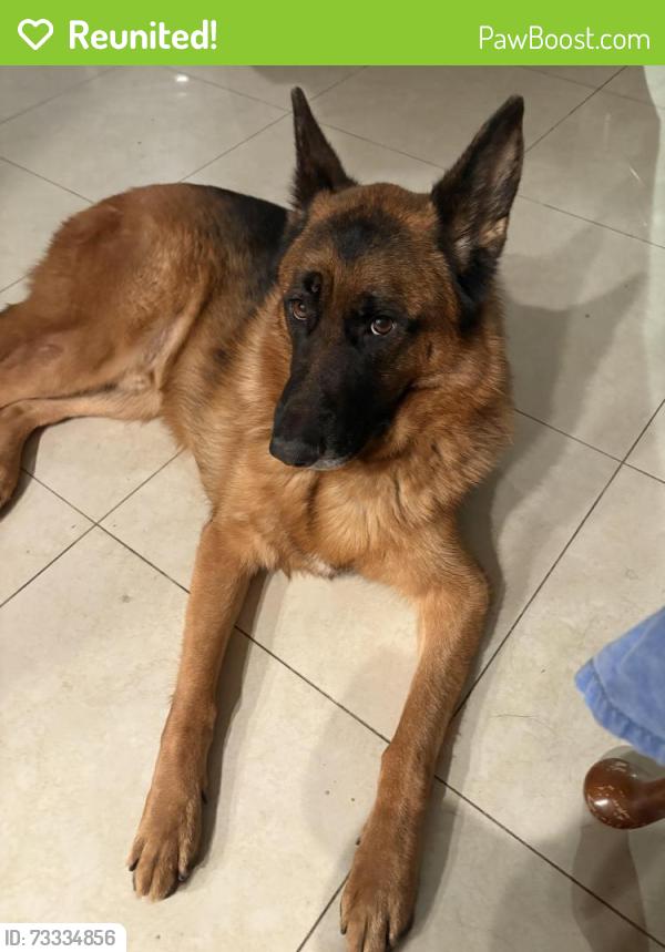 Reunited Male Dog last seen Campus, Upland, CA 91786