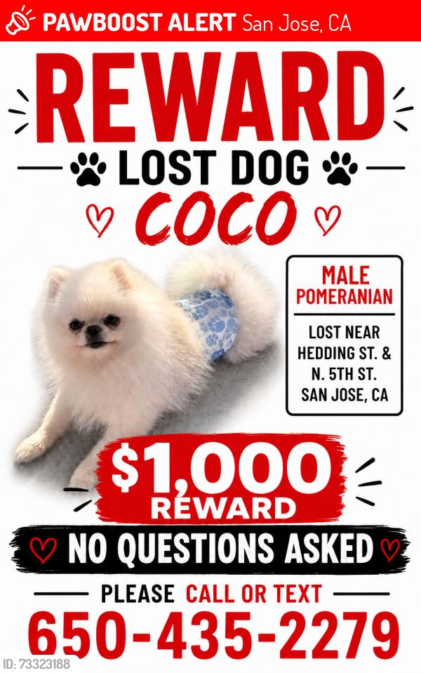Lost Male Dog last seen Hedding , N Fourth st, San Jose, CA 95112