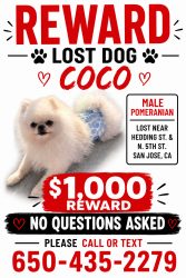 Lost Male Dog last seen Hedding , N Fourth st, San Jose, CA 95112