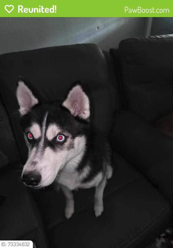 Reunited Female Dog last seen 2978/Standard Rd-Oklahoma Community Center, Magnolia, TX 77354