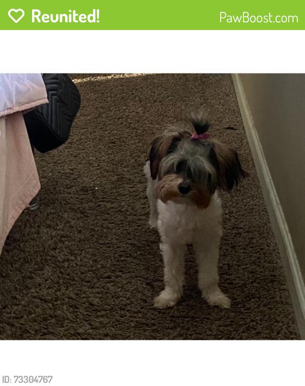 Reunited Female Dog last seen Dallas, Dallas, GA 30132