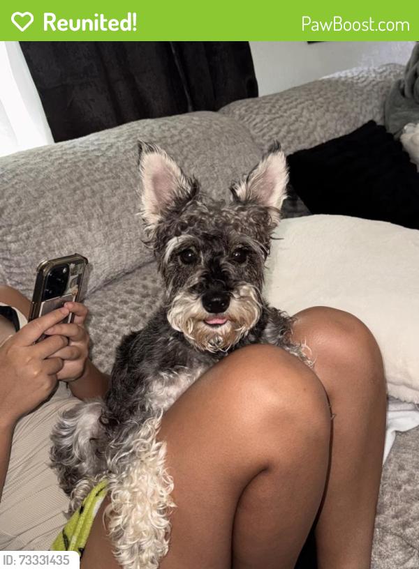 Reunited Female Dog last seen Ave E SE, Winter Haven, FL 33880