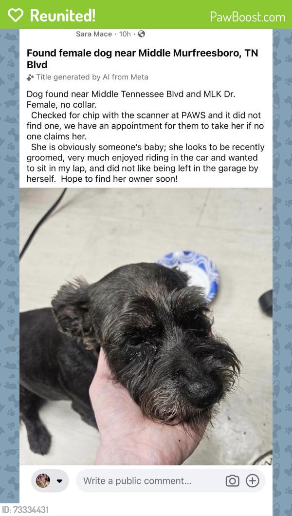 Reunited Female Dog last seen Middle TN Blvd and MLK drive, Murfreesboro, TN 37132