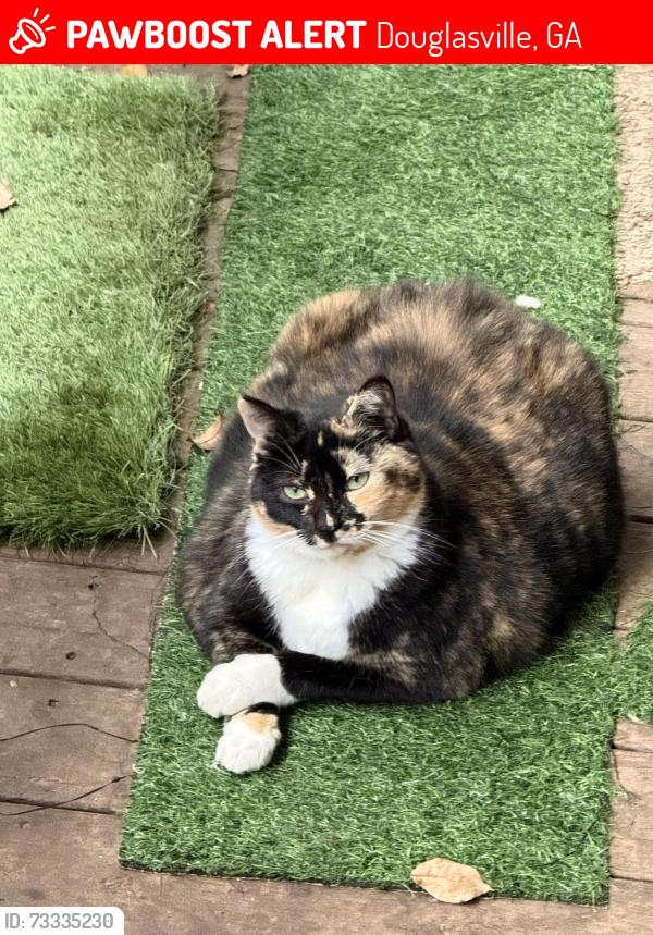 Lost Female Cat last seen Bakers Bridge rd near Abington, Douglasville, GA 30134