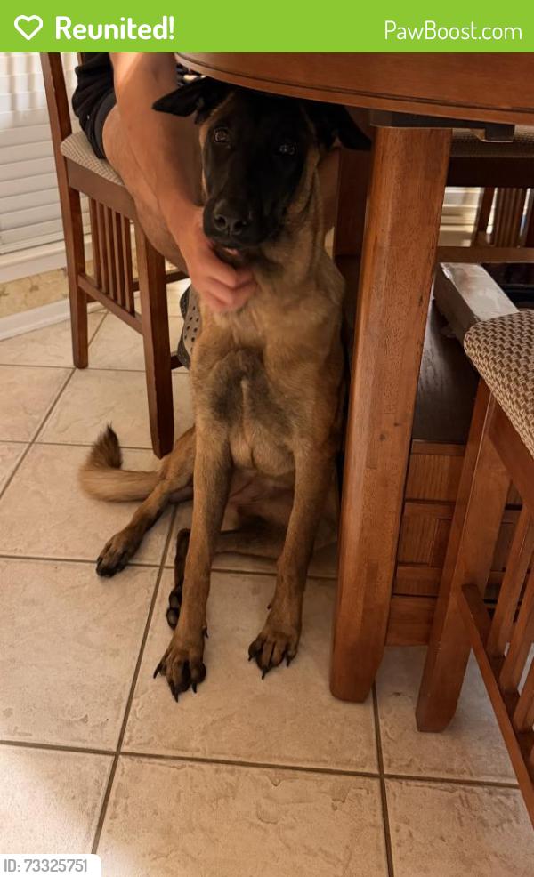 Reunited Female Dog last seen Buckhaven/Stonehaven, San Antonio, TX 78230