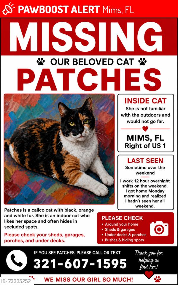 Lost Female Cat last seen US 1, Mims, FL 32754