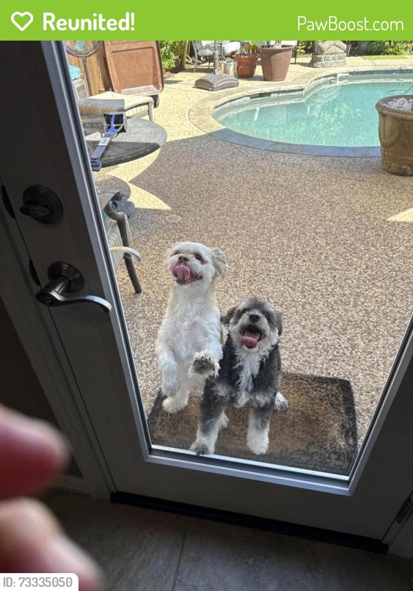 Reunited Unknown Dog last seen Senna hills and cornerstone, Plano, TX 75025