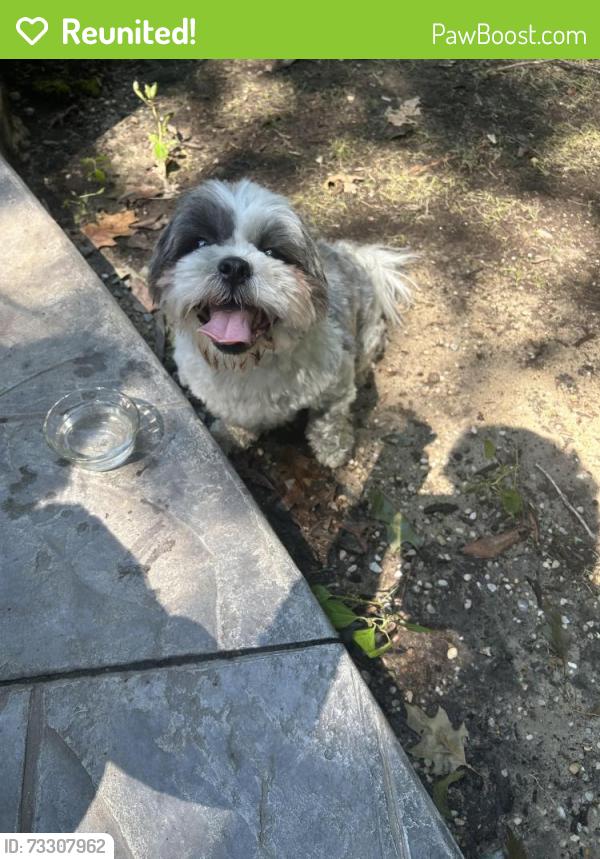 Reunited Male Dog last seen woolridge elementary school, Woodlake, VA 23112