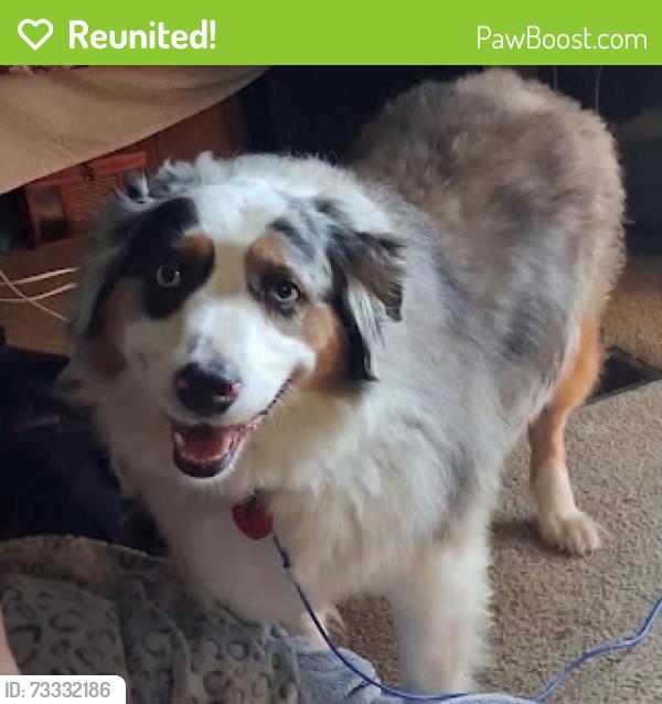 Reunited Female Dog last seen Pearl, MS, USA, Pearl, MS 39208