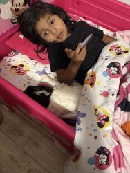 Lost Female Dog last seen A and b, Oakland, CA 94621