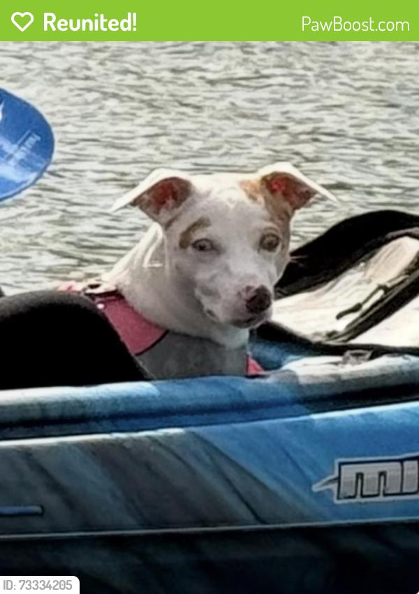 Reunited Female Dog last seen Elementary school, Severance, CO 80550