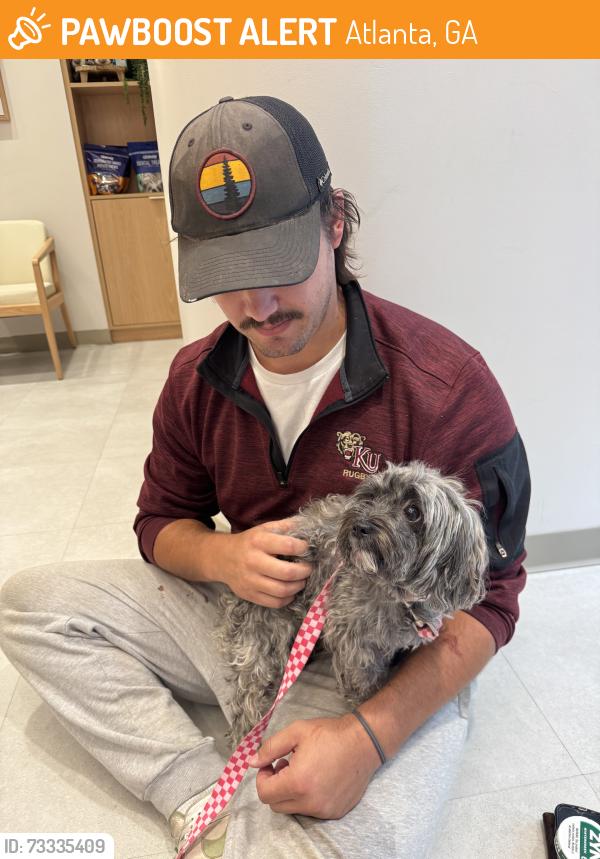 Found/Stray Female Dog last seen Near exit 247 scross from Stadium, Atlanta, GA 30315
