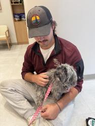 Found/Stray Female Dog last seen Near exit 247 scross from Stadium, Atlanta, GA 30315