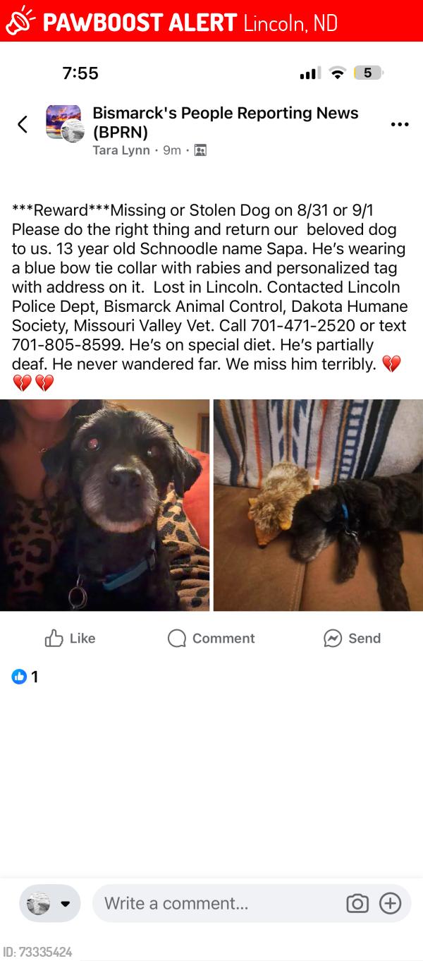 Lost Male Dog last seen Burke Dr, Lincoln, ND 58504