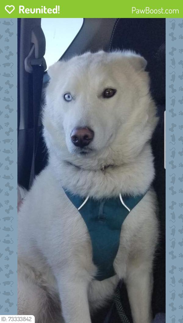 Reunited Female Dog last seen Coe Ave, Seaside, CA 93955