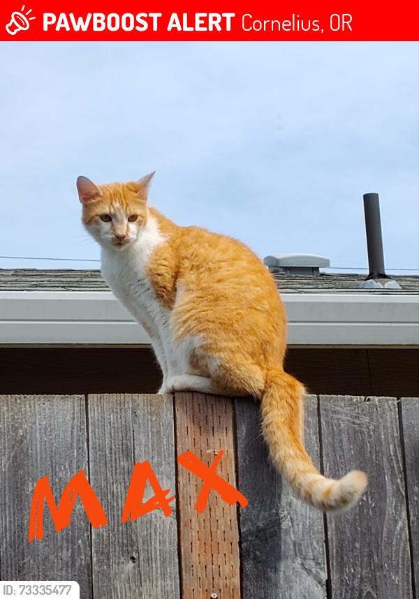 Lost Male Cat last seen Near N Davis Ct, Cornelius, OR 97113