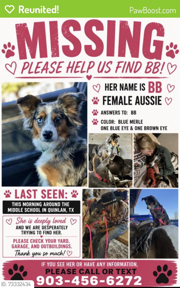 Reunited Female Dog last seen Quinlan Middle School, Quinlan, TX 75474