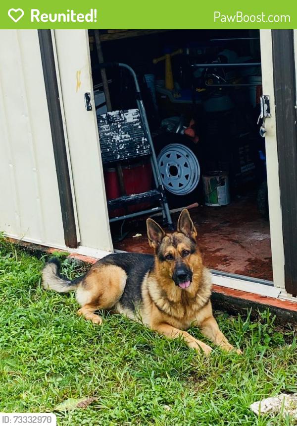 Reunited Male Dog last seen SW 288th St, Florida 33030, USA, Miami-Dade County, FL 33030