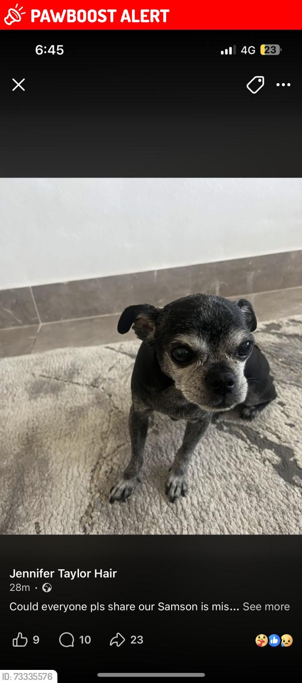 Lost Male Dog last seen Aldi in fazakerly, Fazakerley, England L10 7LE