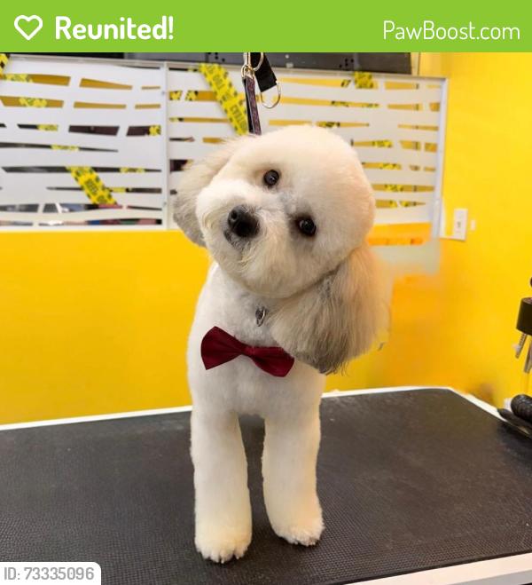 Reunited Male Dog last seen 46th st y bush blvd, Tampa, FL 33617