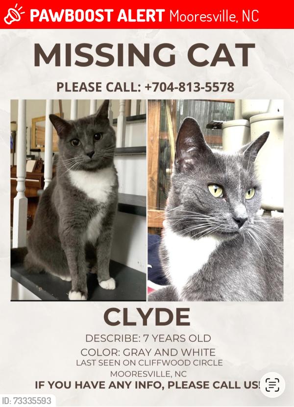 Lost Male Cat last seen South Elementary, Mooresville, NC 28115