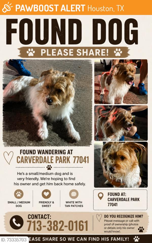Found/Stray Male Dog last seen Carverdale Park, Houston, TX 77041