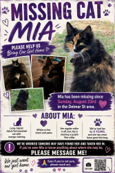 Lost Female Cat last seen Near Delmar st, Midland, TX 79703