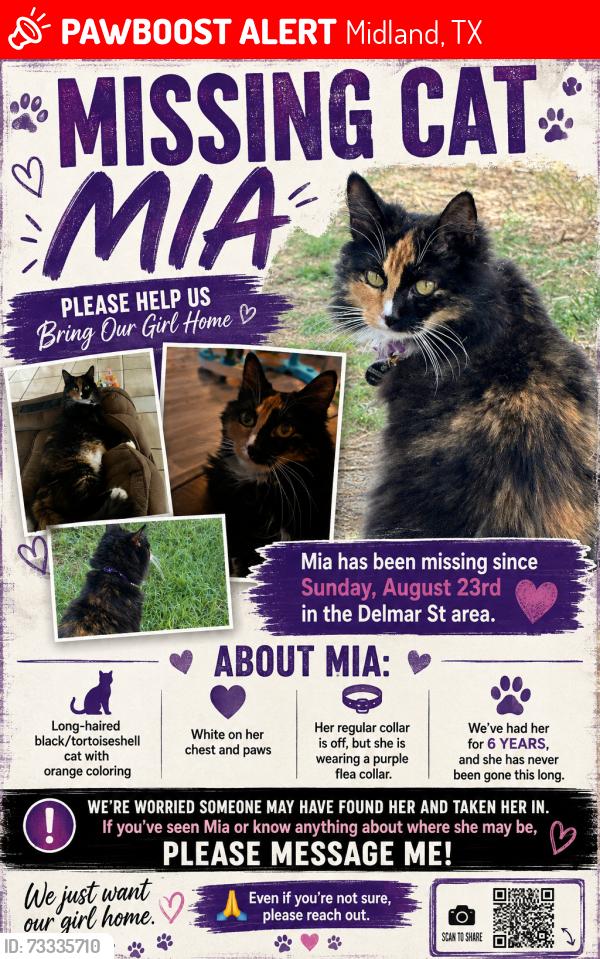 Lost Female Cat last seen Near Delmar st, Midland, TX 79703