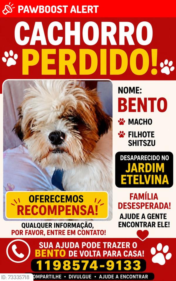 Lost Male Dog last seen Rua Gabriel menalt, Jardim Moreno, SP 08430-670