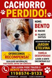 Lost Male Dog last seen Rua Gabriel menalt, Jardim Moreno, SP 08430-670