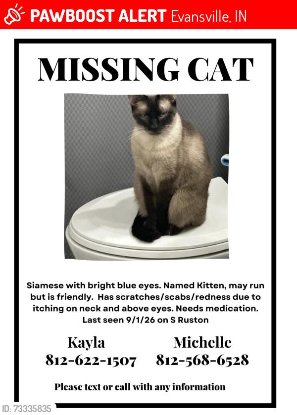 Lost Female Cat last seen S Ruston Avenue, Evansville, IN 47714