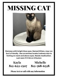 Lost Female Cat last seen S Ruston Avenue, Evansville, IN 47714