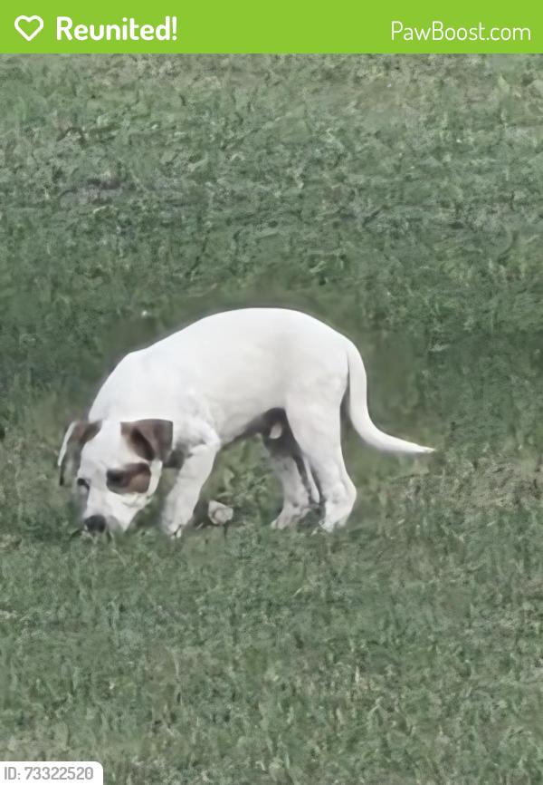 Reunited Male Dog last seen Linda's Lane, Hoke County, NC 28376