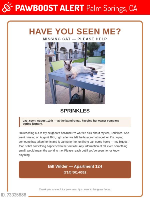 Lost Female Cat last seen Racquet club apmts, Palm Springs,, Palm Springs, CA 92262