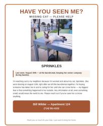 Lost Female Cat last seen Racquet club apmts, Palm Springs,, Palm Springs, CA 92262