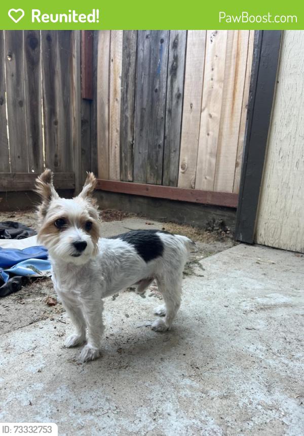 Reunited Male Dog last seen Near E Shields Ave, Fresno, CA 93704, USA, Fresno, CA 93704