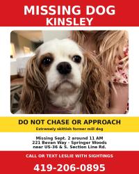 Lost Female Dog last seen My Backyard near 36 and Section Line, Delaware, OH 43015
