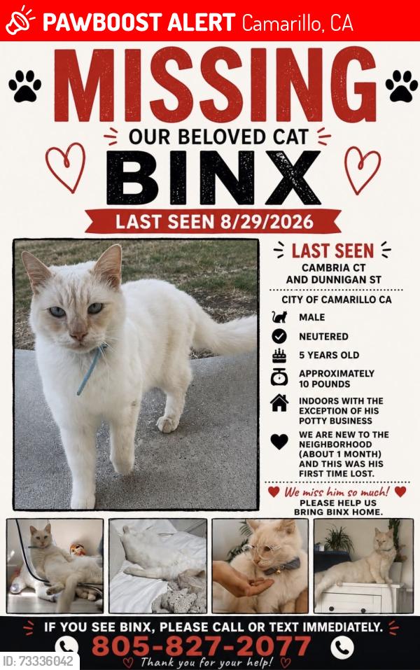 Lost Male Cat last seen Las posas rd, Camarillo, CA 93010