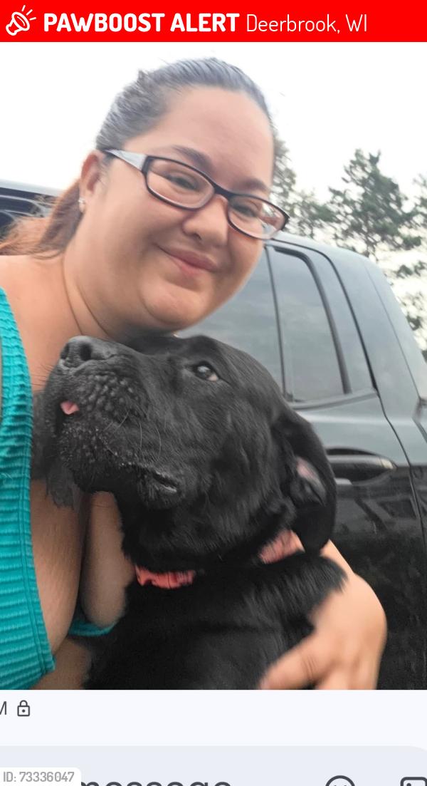 Lost Female Dog last seen Cty rd A and old dump rd, Deerbrook, WI 54424
