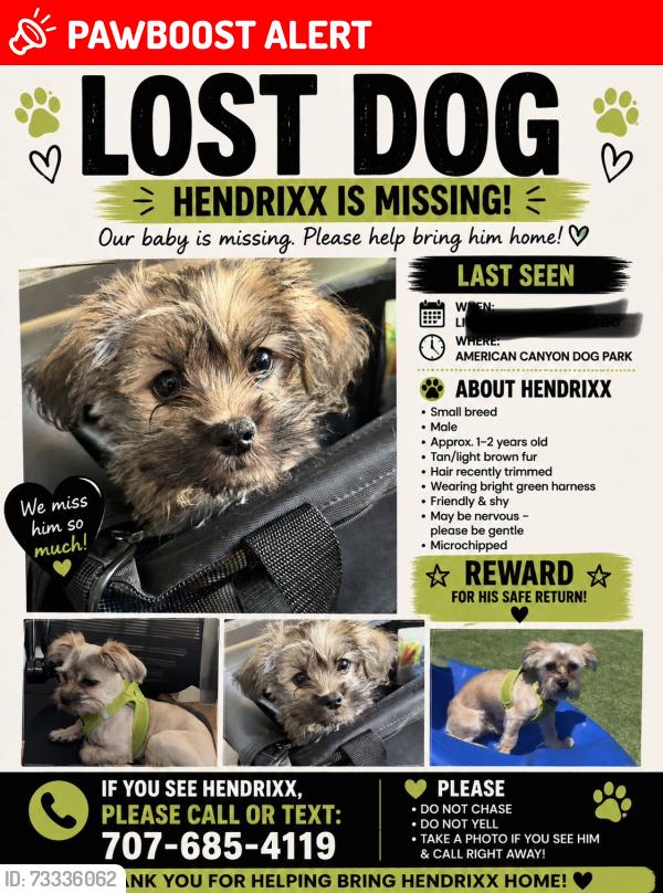Lost Male Dog last seen Broadway and ventana, American Canyon, CA 94503
